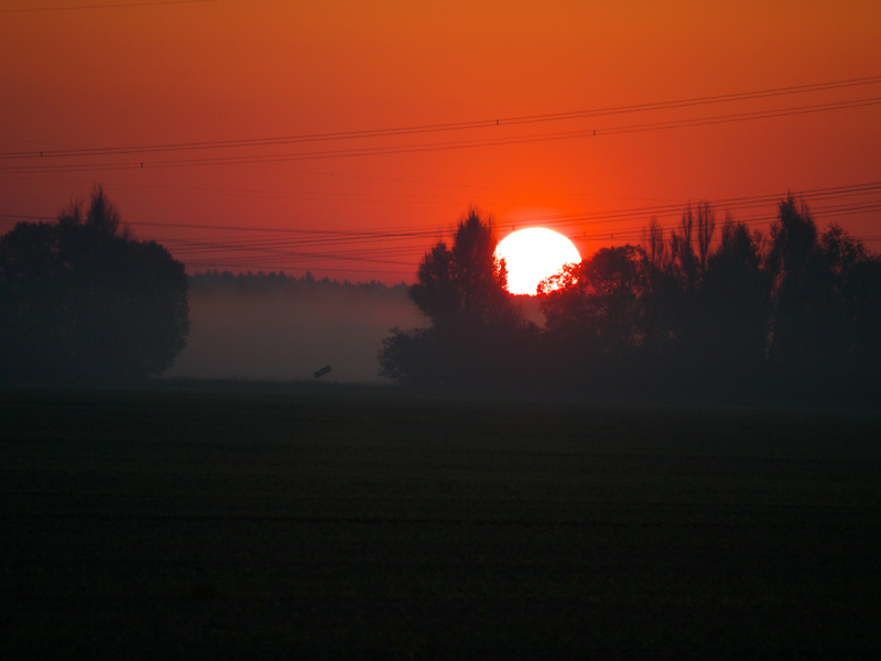Sonnenaufgang über dem Feld